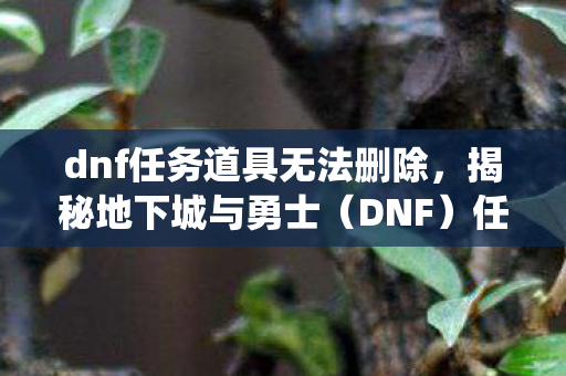 dnf任务道具无法删除，揭秘地下城与勇士（DNF）任务系统，探索无尽的冒险之旅