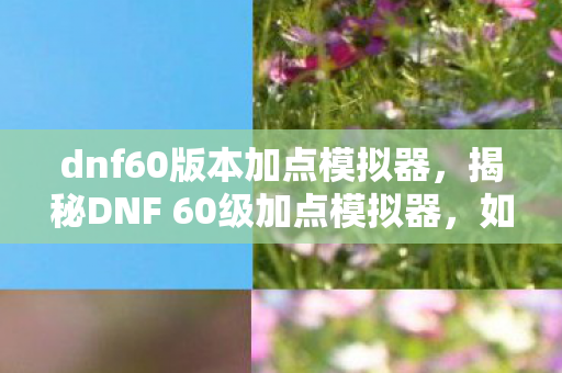 dnf60版本加点模拟器，揭秘DNF 60级加点模拟器，如何合理分配技能点数最大化角色战力？