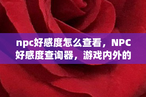 npc好感度怎么查看，NPC好感度查询器，游戏内外的情感交互新体验