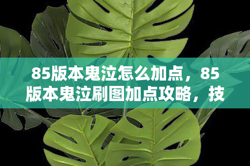 85版本鬼泣怎么加点，85版本鬼泣刷图加点攻略，技能加点分析与推荐