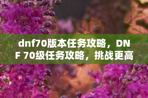 dnf70版本任务攻略，DNF 70级任务攻略，挑战更高难度的征程