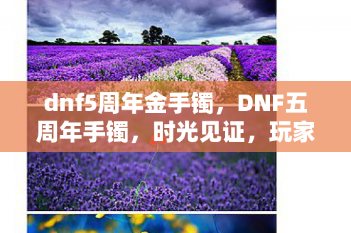 dnf5周年金手镯，DNF五周年手镯，时光见证，玩家情感与荣耀的象征