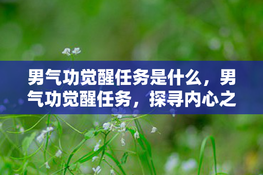 男气功觉醒任务是什么，男气功觉醒任务，探寻内心之力，开启潜能之门