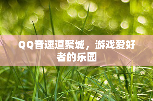 QQ音速道聚城，游戏爱好者的乐园