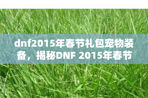dnf2015年春节礼包宠物装备，揭秘DNF 2015年春节礼包，神秘惊喜与独家福利一网打尽！