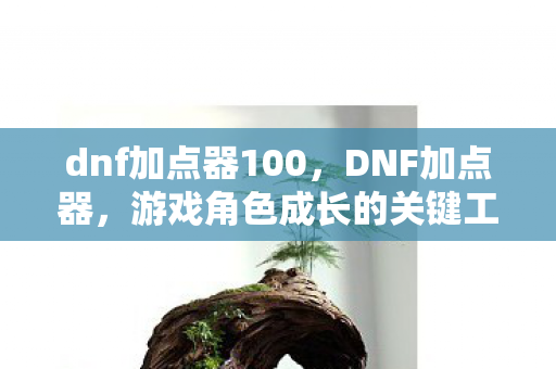 dnf加点器100，DNF加点器，游戏角色成长的关键工具