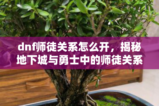 dnf师徒关系怎么开，揭秘地下城与勇士中的师徒关系，一段荣耀与成长的羁绊