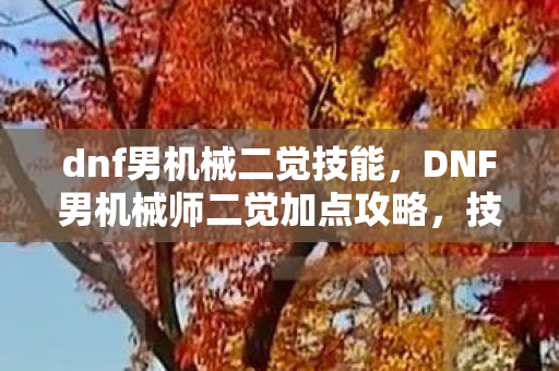 dnf男机械二觉技能，DNF男机械师二觉加点攻略，技能分配与强化建议