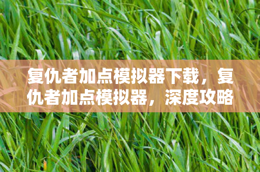 复仇者加点模拟器下载，复仇者加点模拟器，深度攻略与策略探讨