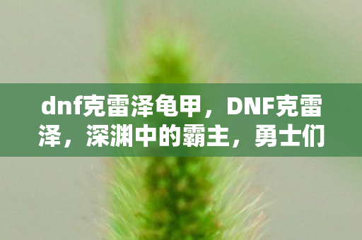 dnf克雷泽龟甲，DNF克雷泽，深渊中的霸主，勇士们的挑战