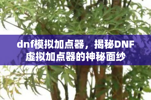 dnf模拟加点器，揭秘DNF虚拟加点器的神秘面纱