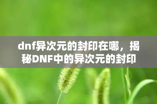dnf异次元的封印在哪，揭秘DNF中的异次元的封印