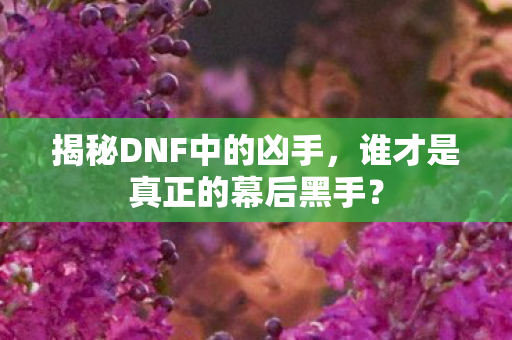 揭秘DNF中的凶手，谁才是真正的幕后黑手？