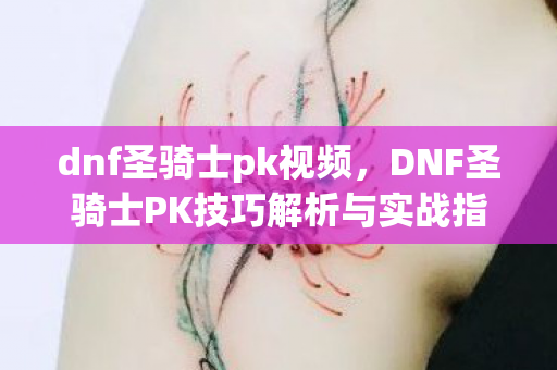 dnf圣骑士pk视频，DNF圣骑士PK技巧解析与实战指南