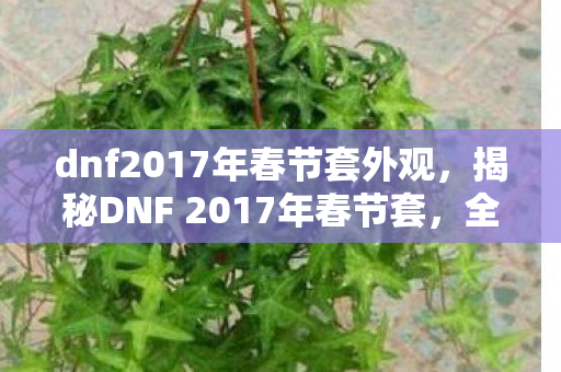 dnf2017年春节套外观，揭秘DNF 2017年春节套，全新装备与特色活动一网打尽