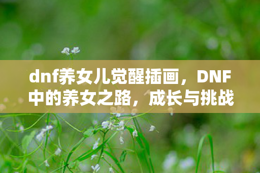dnf养女儿觉醒插画，DNF中的养女之路，成长与挑战