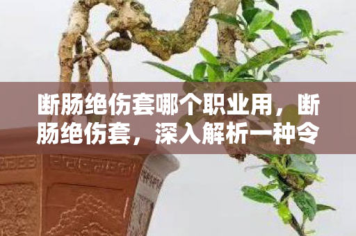 断肠绝伤套哪个职业用，断肠绝伤套，深入解析一种令人震撼的游戏装备及其背后的故事