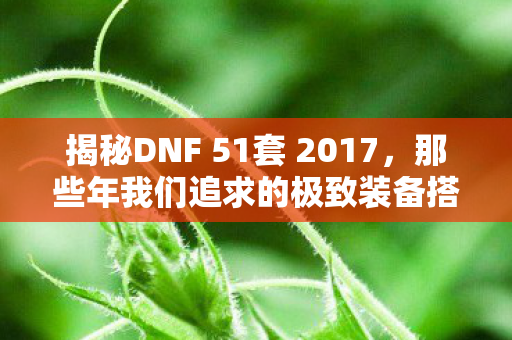揭秘DNF 51套 2017，那些年我们追求的极致装备搭配！