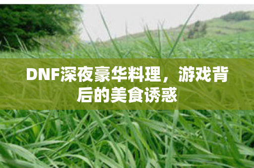 DNF深夜豪华料理，游戏背后的美食诱惑