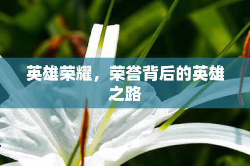 英雄荣耀，荣誉背后的英雄之路