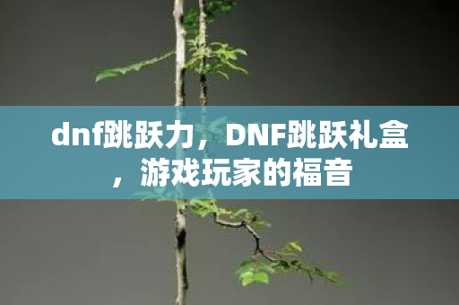 dnf跳跃力，DNF跳跃礼盒，游戏玩家的福音