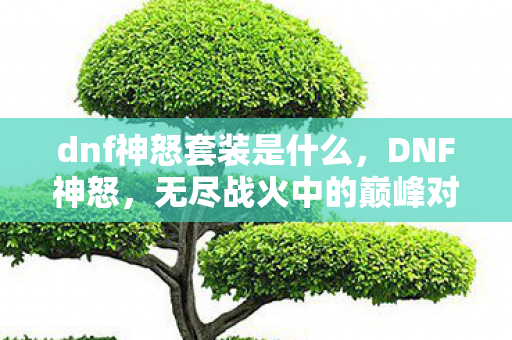 dnf神怒套装是什么，DNF神怒，无尽战火中的巅峰对决