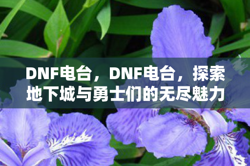 DNF电台，DNF电台，探索地下城与勇士们的无尽魅力
