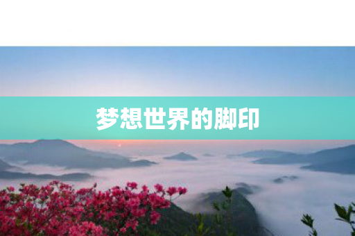 梦想世界的脚印