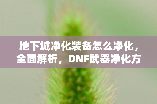 地下城净化装备怎么净化，全面解析，DNF武器净化方法与技巧