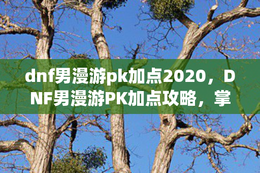 dnf男漫游pk加点2020，DNF男漫游PK加点攻略，掌握技能加点，成为战斗高手！