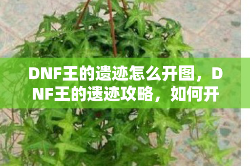 DNF王的遗迹怎么开图，DNF王的遗迹攻略，如何开启神秘地图之门