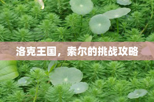 洛克王国，索尔的挑战攻略