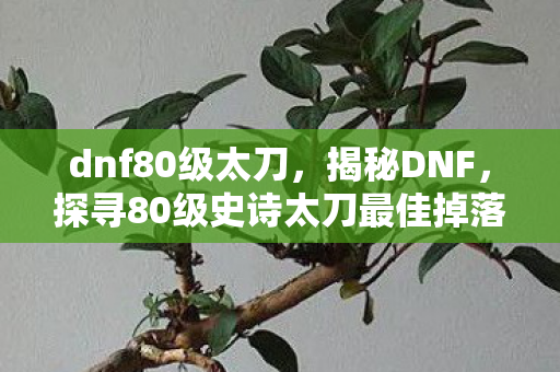 dnf80级太刀，揭秘DNF，探寻80级史诗太刀最佳掉落地点