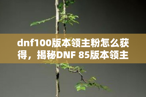 dnf100版本领主粉怎么获得，揭秘DNF 85版本领主粉武器的独特魅力与获取攻略