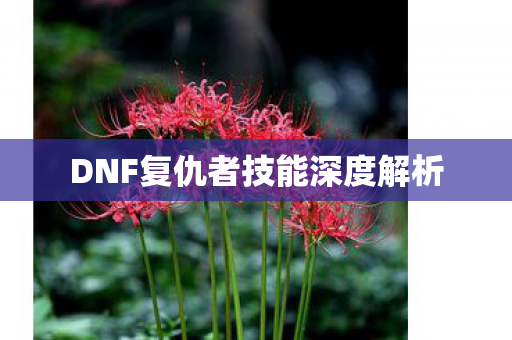 DNF复仇者技能深度解析