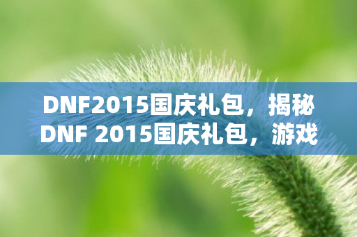 DNF2015国庆礼包，揭秘DNF 2015国庆礼包，游戏内外的惊喜福利一网打尽！