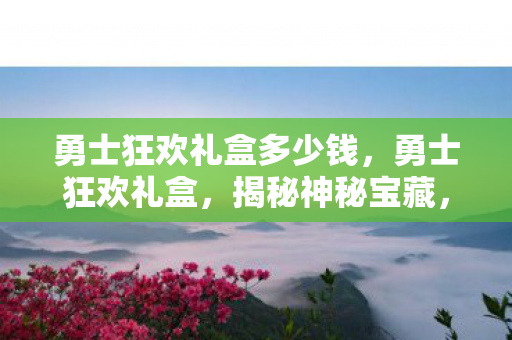 勇士狂欢礼盒多少钱，勇士狂欢礼盒，揭秘神秘宝藏，探寻无限惊喜之旅