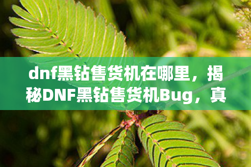 dnf黑钻售货机在哪里，揭秘DNF黑钻售货机Bug，真相与应对之策