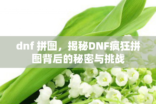 dnf 拼图，揭秘DNF疯狂拼图背后的秘密与挑战