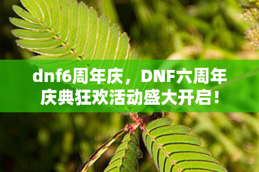 dnf6周年庆，DNF六周年庆典狂欢活动盛大开启！
