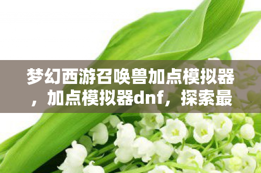 梦幻西游召唤兽加点模拟器，加点模拟器dnf，探索最佳属性分配策略