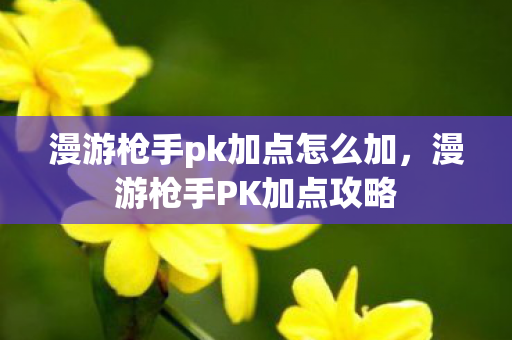漫游枪手pk加点怎么加，漫游枪手PK加点攻略