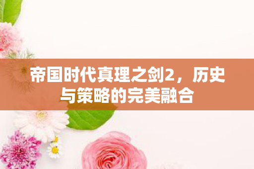 帝国时代真理之剑2，历史与策略的完美融合