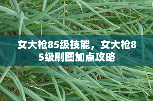 女大枪85级技能，女大枪85级刷图加点攻略
