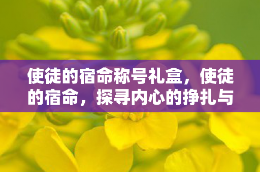 使徒的宿命称号礼盒，使徒的宿命，探寻内心的挣扎与超越之路