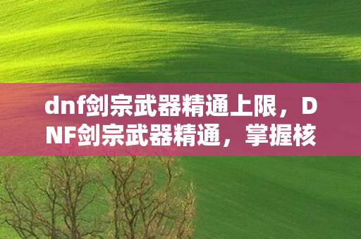 dnf剑宗武器精通上限，DNF剑宗武器精通，掌握核心技能，成为战场上的利刃