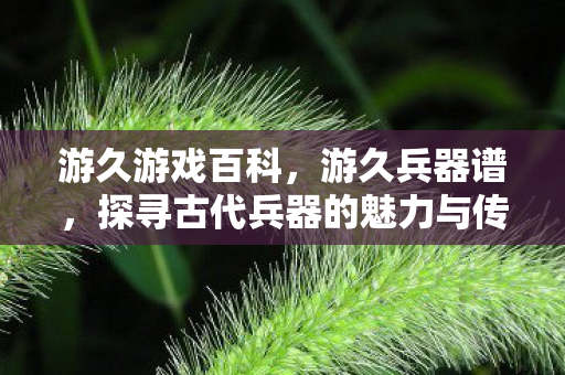 游久游戏百科，游久兵器谱，探寻古代兵器的魅力与传奇故事