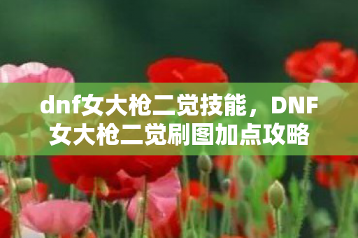 dnf女大枪二觉技能，DNF女大枪二觉刷图加点攻略