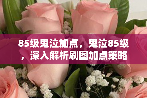 85级鬼泣加点，鬼泣85级，深入解析刷图加点策略