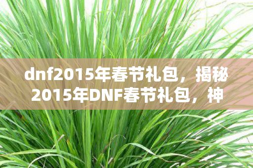 dnf2015年春节礼包，揭秘2015年DNF春节礼包，神秘惊喜与独家福利一网打尽！